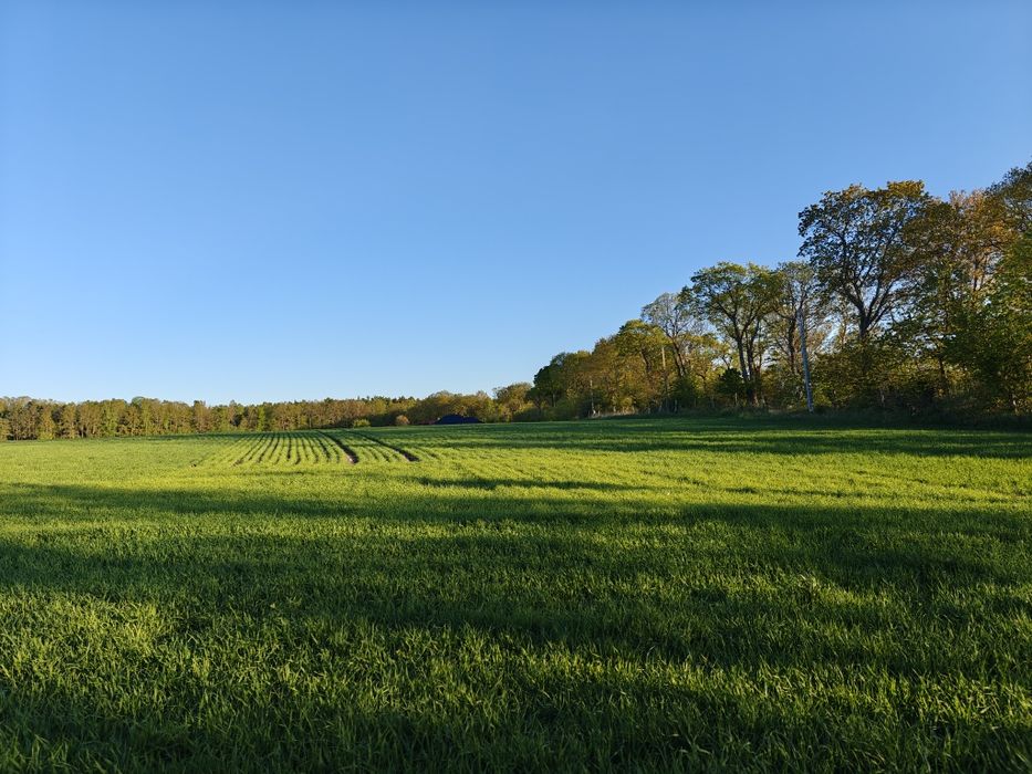 Działki siedliskowe blisko Łeby