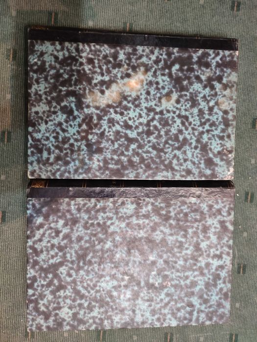 Encyclopédie D'Histoire Naturelle Traité Complet -Papillons - 2 Vol