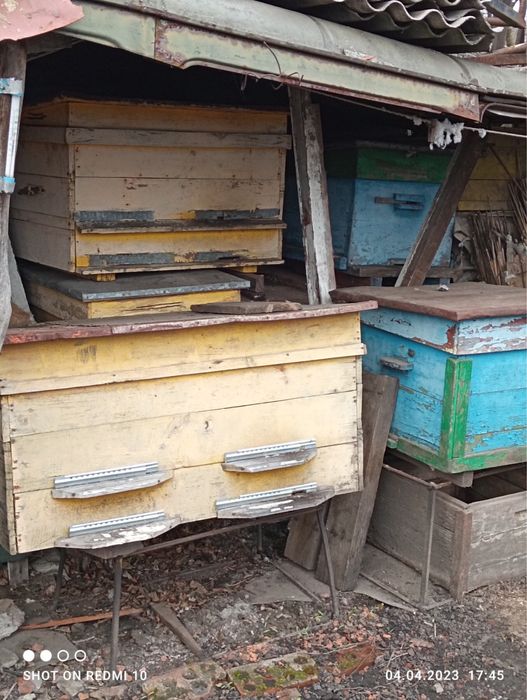 Вулики-лежаки для бджіл