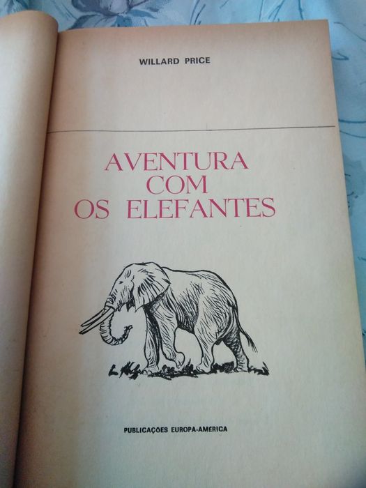 Aventura com os elefantes