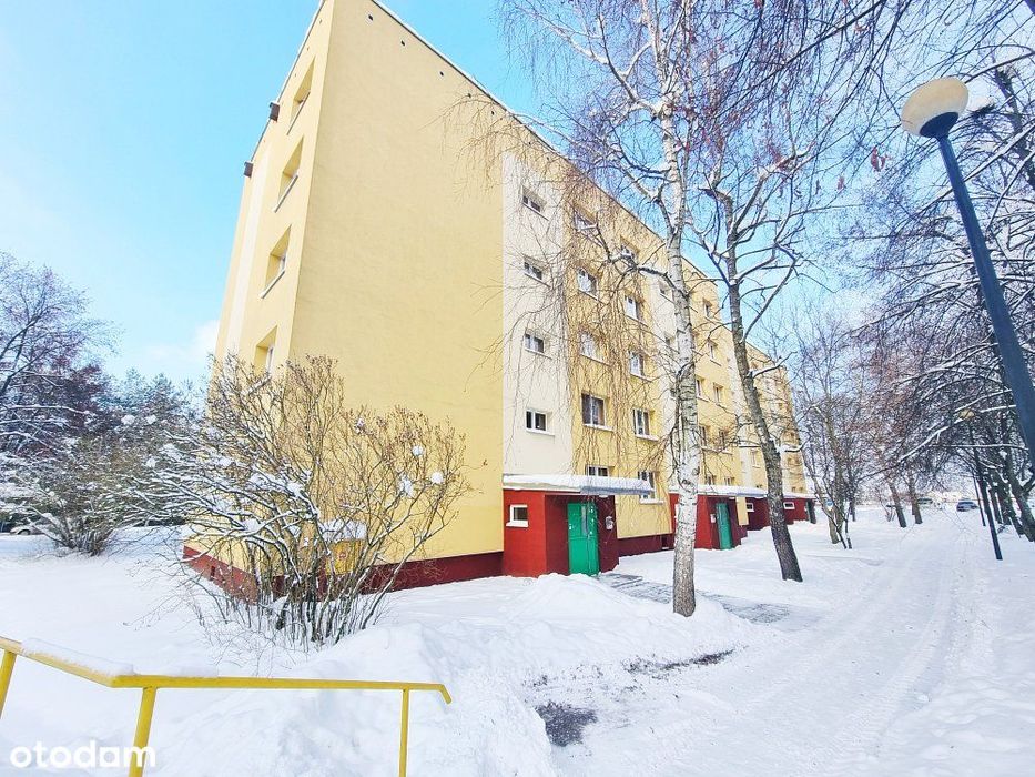 M-3| 50.67m2| 2pokoje| 4piętro| wynajem| Słoneczne