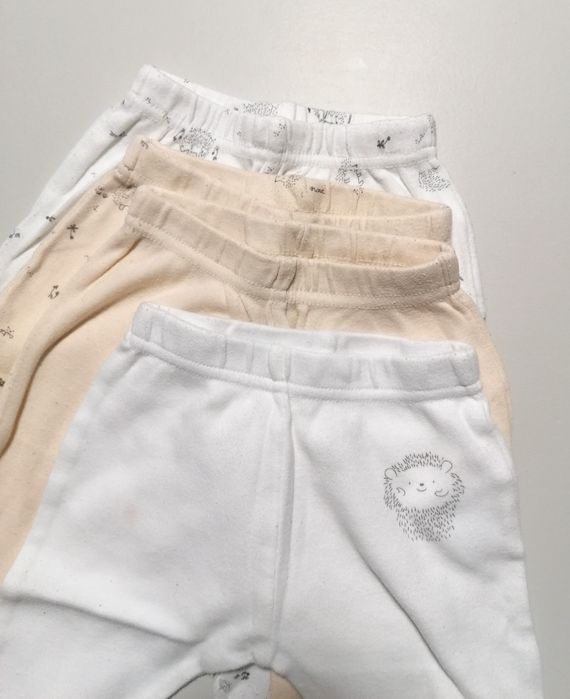 Pack 4 Meias-Calças de tema "Ouriço-cacheiro"