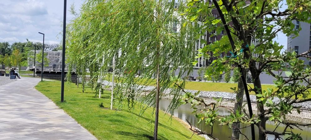 Продаж приміщення 115.67кв.м у ЖК  «Paradise Avenue», є орендар