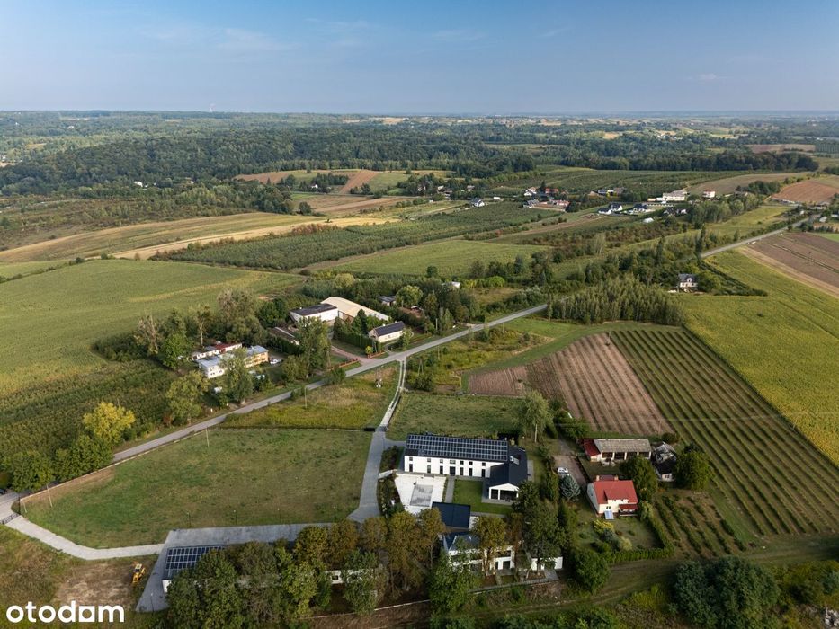 Zdjęcie 8