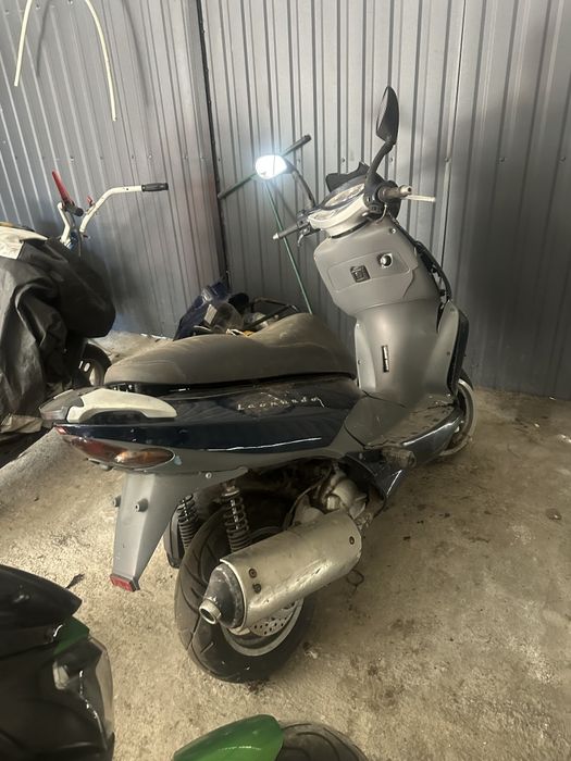 Aprilia leonardo