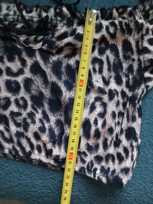 Top topik panterka wiązany