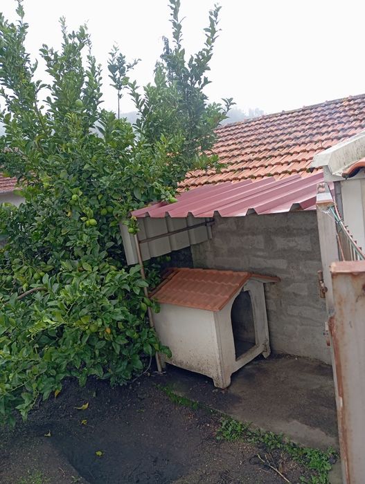 Grade mais casota mais cobertura para o seu cão