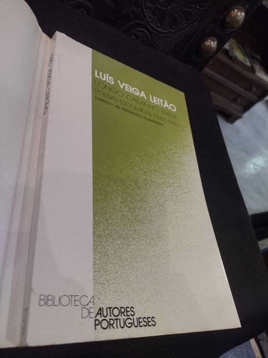 Longo Caminho Breve - Luís Veiga Leitão