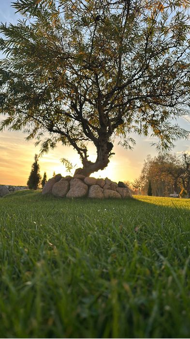 Odpoczynek na Wsi Apatrament pod wynajem  max 5 dobowy