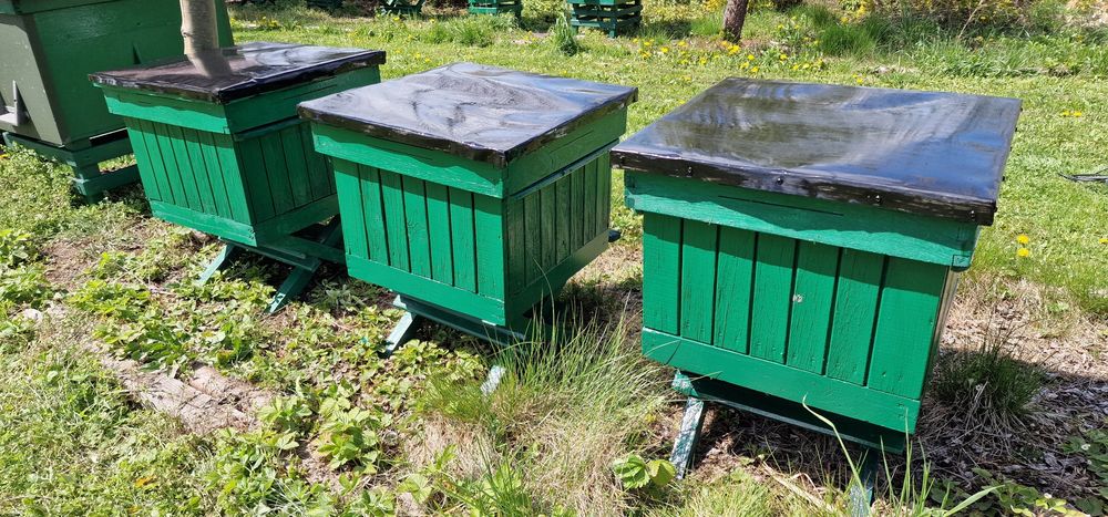 3x ul Wielkopolski, dennica, stojak i daszek, bez korpusu