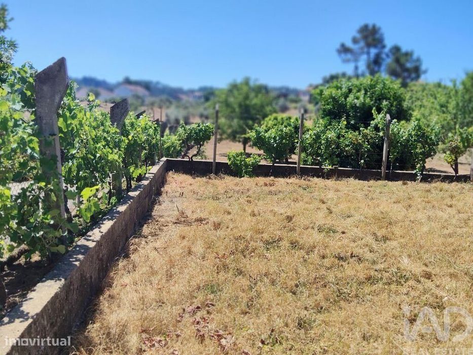 Terreno em Castelo