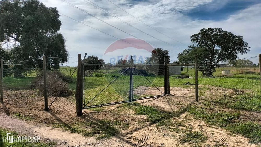 Terreno  para venda