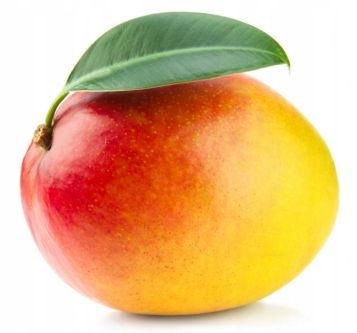 Mango Z Marakują W Żelu 50% Frużelina 3,2 Kg