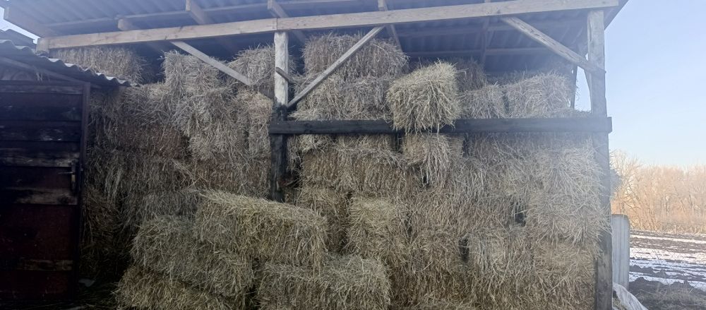 Продам тюки ячмінної та пшеничної соломи.