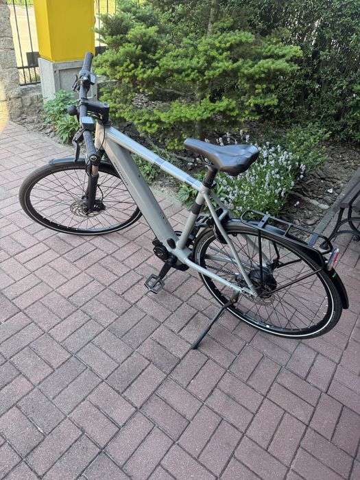 Rower elektryczny RIESSE MULLER Roadster