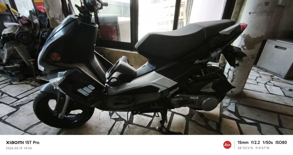 Vendo Felis 125 para desocupar