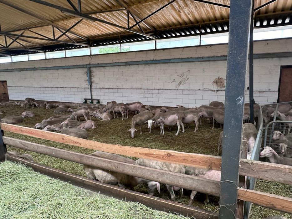 Фастівський р-н; Продаж агро бізнесу повного циклу. від власника