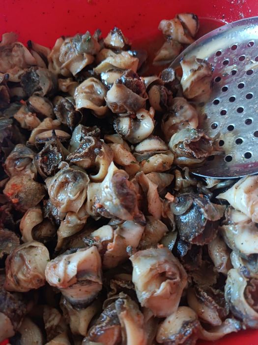 Рапани мариновані 1300грн 1 кг