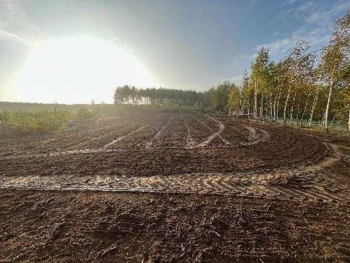 Mulczer leśny Oczyszczenie działki działek  terenu
