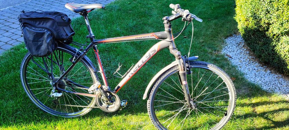 Rower Crossowy Kellys Phanatic