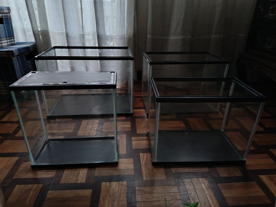 Vários aquários de vários tamanhos
