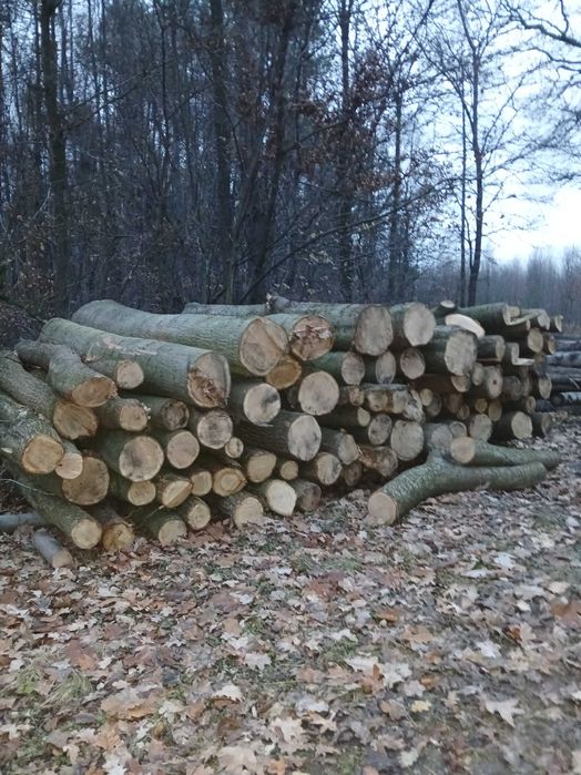 Drewno kominkowe  dąb buk