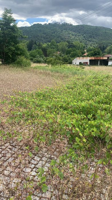 Terreno com Viabilidade de construção-Aceita Permuta