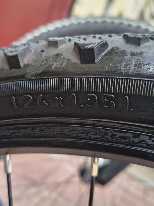 Rower Kellys  24"