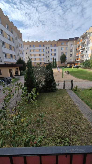 Zdjęcie 5