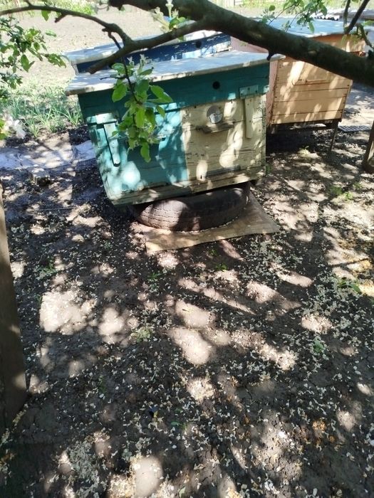 Продам улья лежаки.