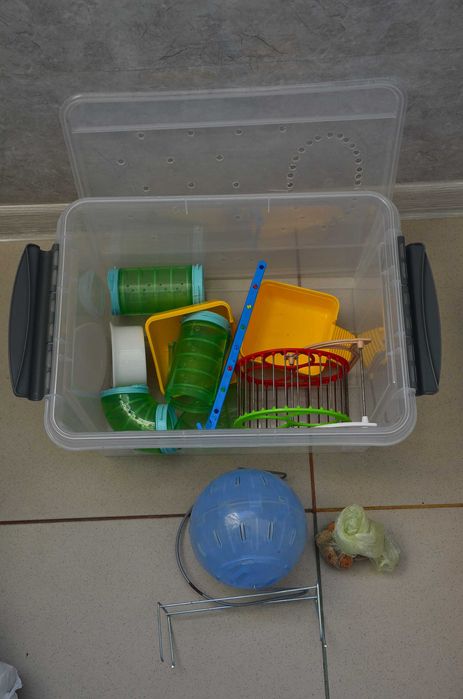 Принадлежности для хомяка