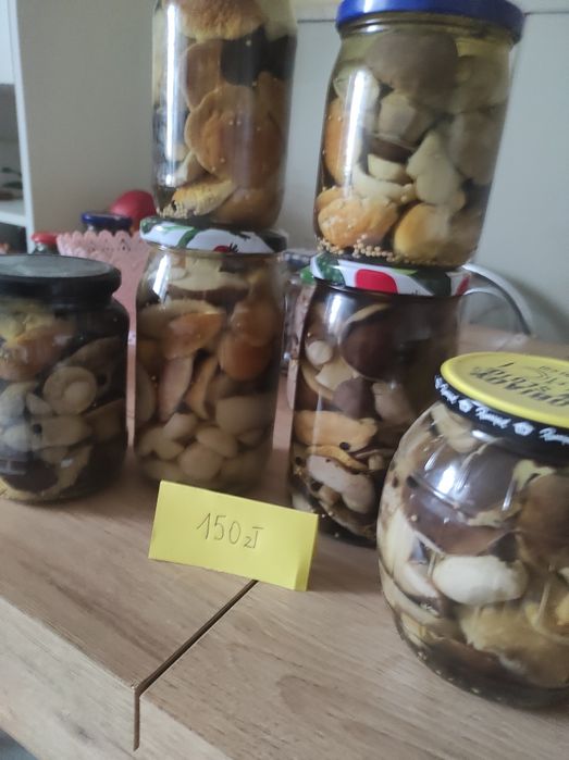 Grzyby w zalewie octowej duży wybór