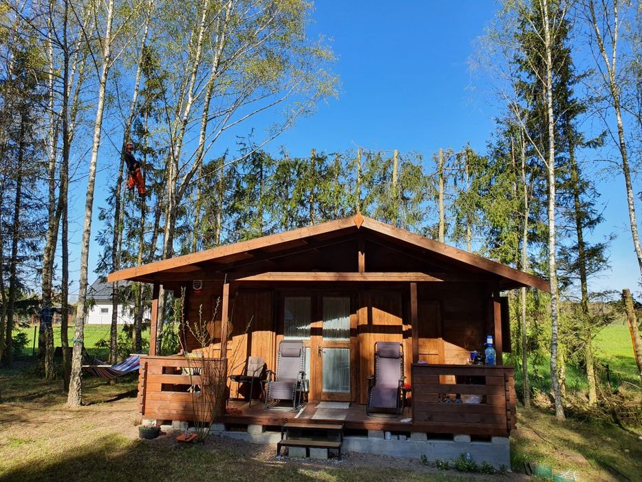 Wycinka drzew, arborysta, przycinanie koron, metodą alpinistyczną