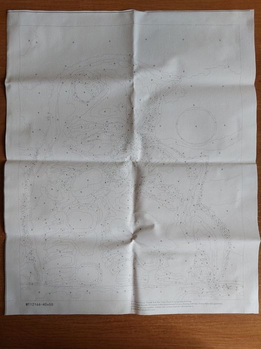 Картина по номерам кошенятка 40х50 см