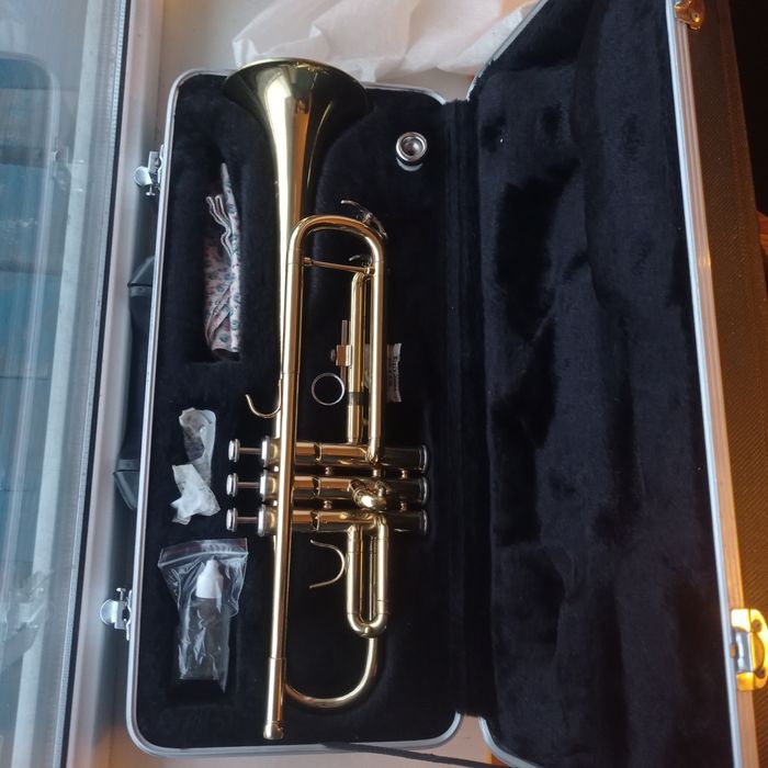 Труба Maxtone  НОВИЙ / NOS / кейс + мундштук / Київ