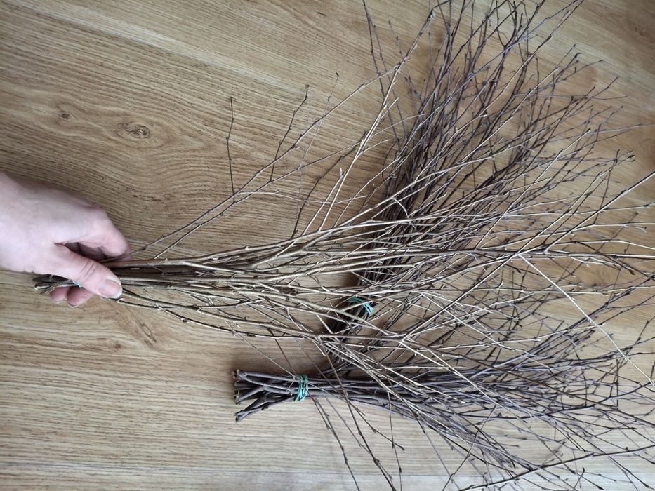 Rózga, gałązka brzozowa, dekoracja, ozdoba,