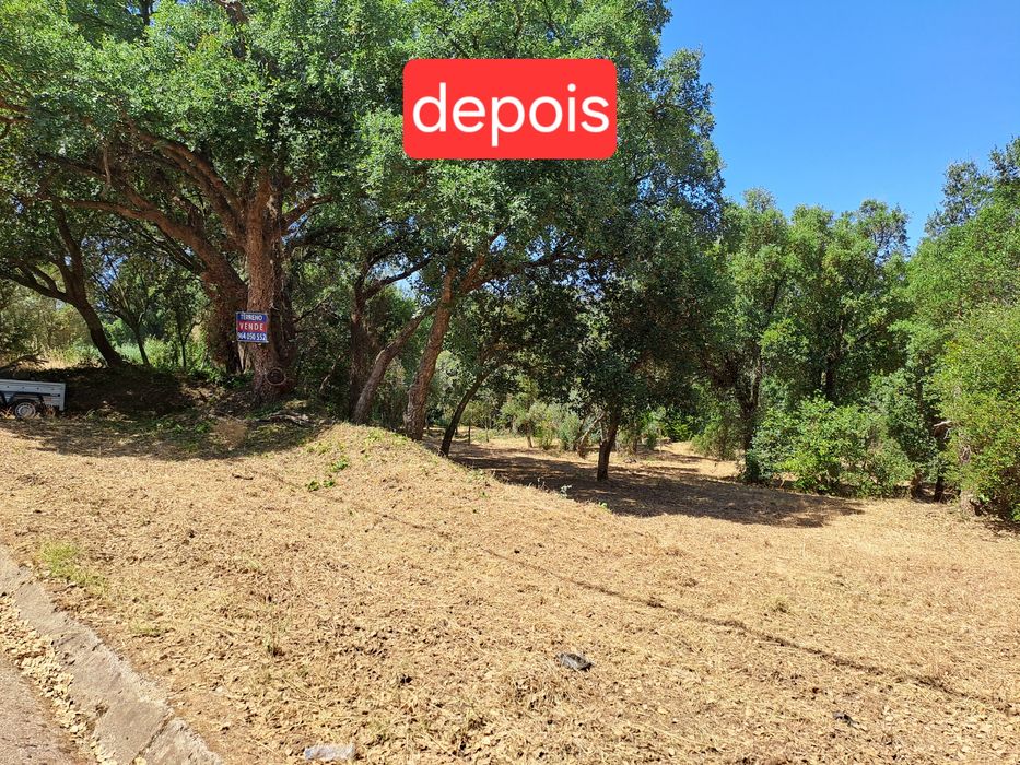 Limpeza de terrenos/ desmatação/ lavouras com trator