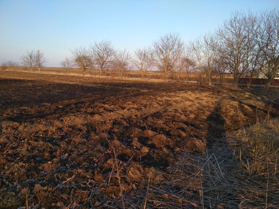 Будинок в  с. Нелипівці