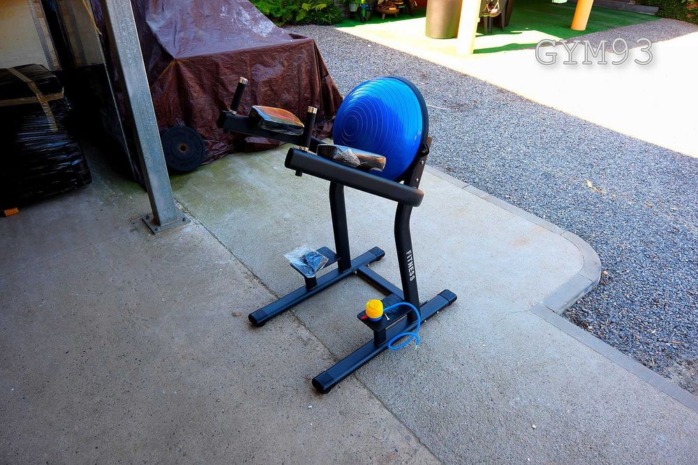 Dostawa 12.2026 Dip z Bosu Ball