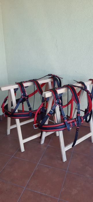 Szory  puszorek  na kucyka