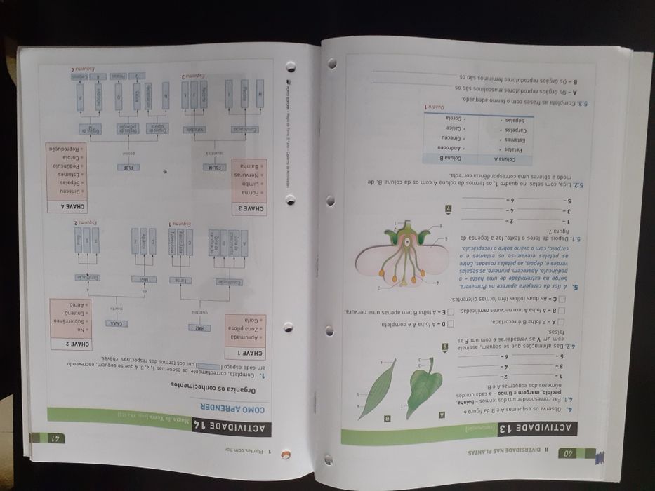 Manual e caderno de atividades Magia da Terra - Ciências 5º ano
