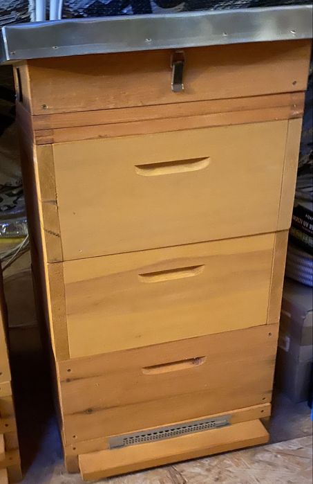 Ul wielkopolski na ramkę 18