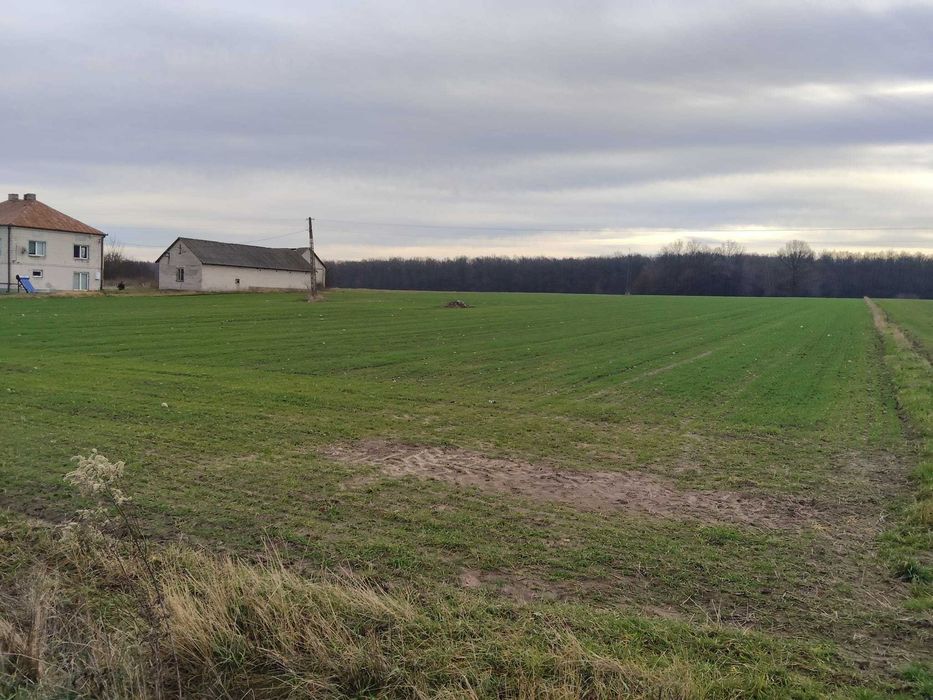 Sprzedam działkę rolna