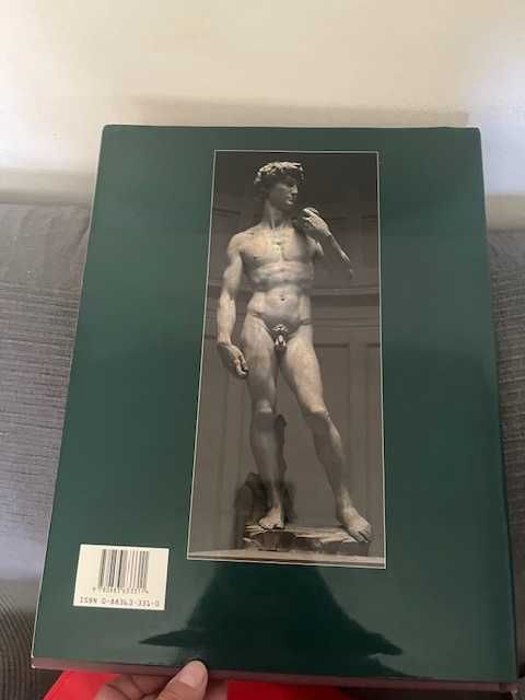 Livro Michel Angelo