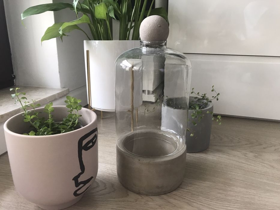 Terrarium dla roślin - naturalne beton szkło