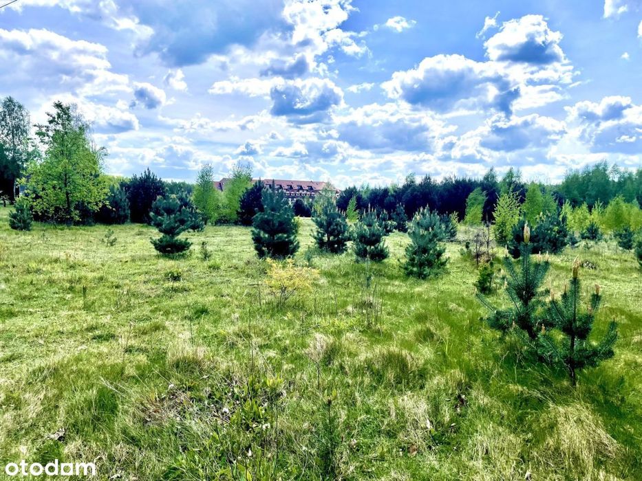 Działka Budowlana 1,40 Ha Ossa K/ Rawy Maz