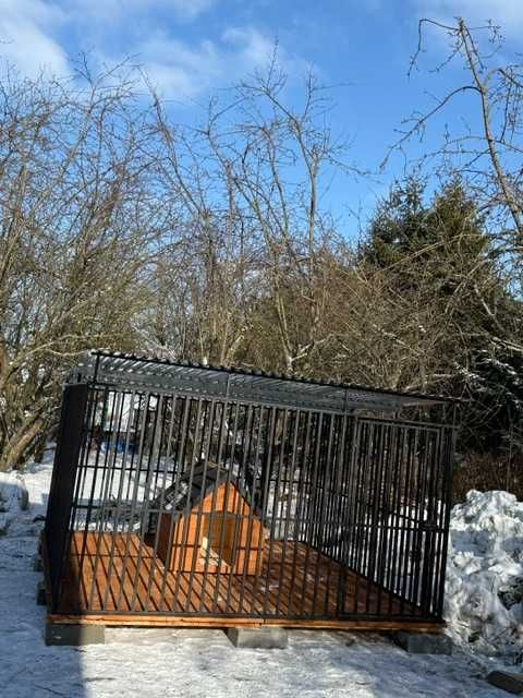 Kojec dla psa – solidny i wytrzymały