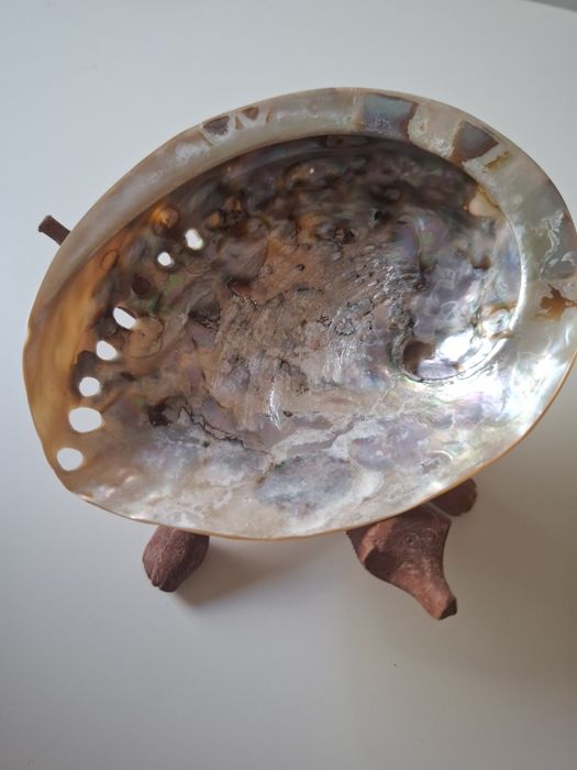 Concha Abalone com suporte de madeira