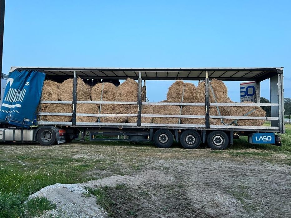 Feno em rolo seco alta qualidade