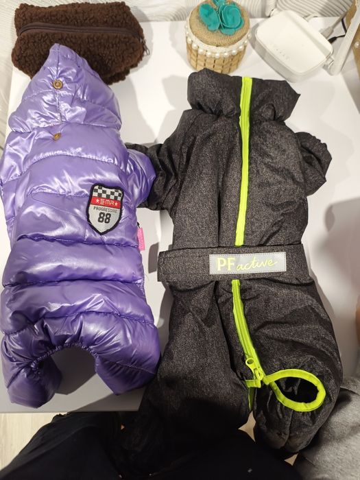 Продам комбинезоны для собачки